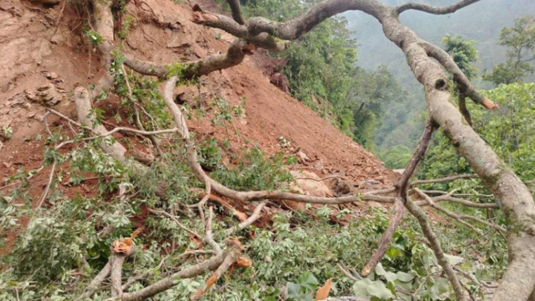 २०८१ मा आठ हजार बढी घटनामा ७४५ जनाको मृत्यु