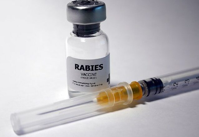 स्वास्थ्य सेवा विभागद्वारा सातै प्रदेशमा रेविज विरुद्धको भ्याक्सिनको आपूर्ति